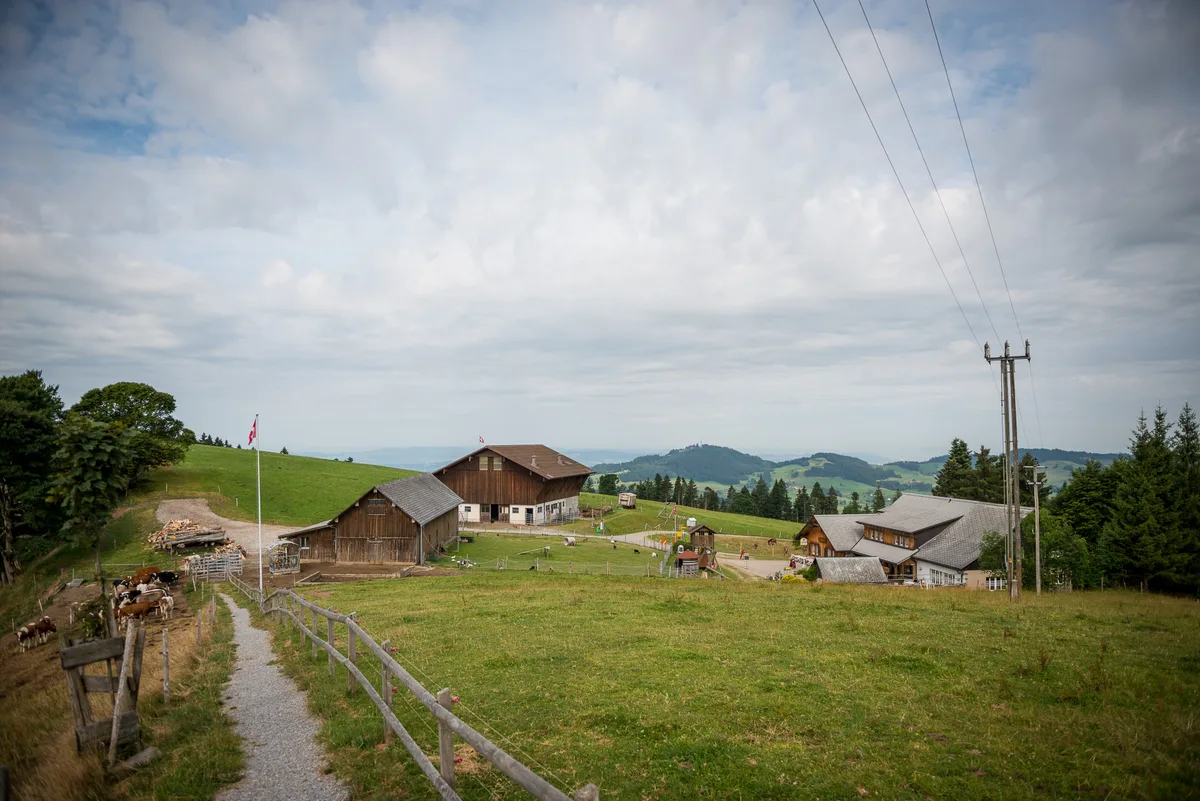 Auch die neuen Wirte werden sich neben der Gastronomie wohl leidenschaftlich mit der Landwirtschaft beschäftigen. (Archiv) Eine Alp mit Kühen. Rundum hüglige Landschaften.